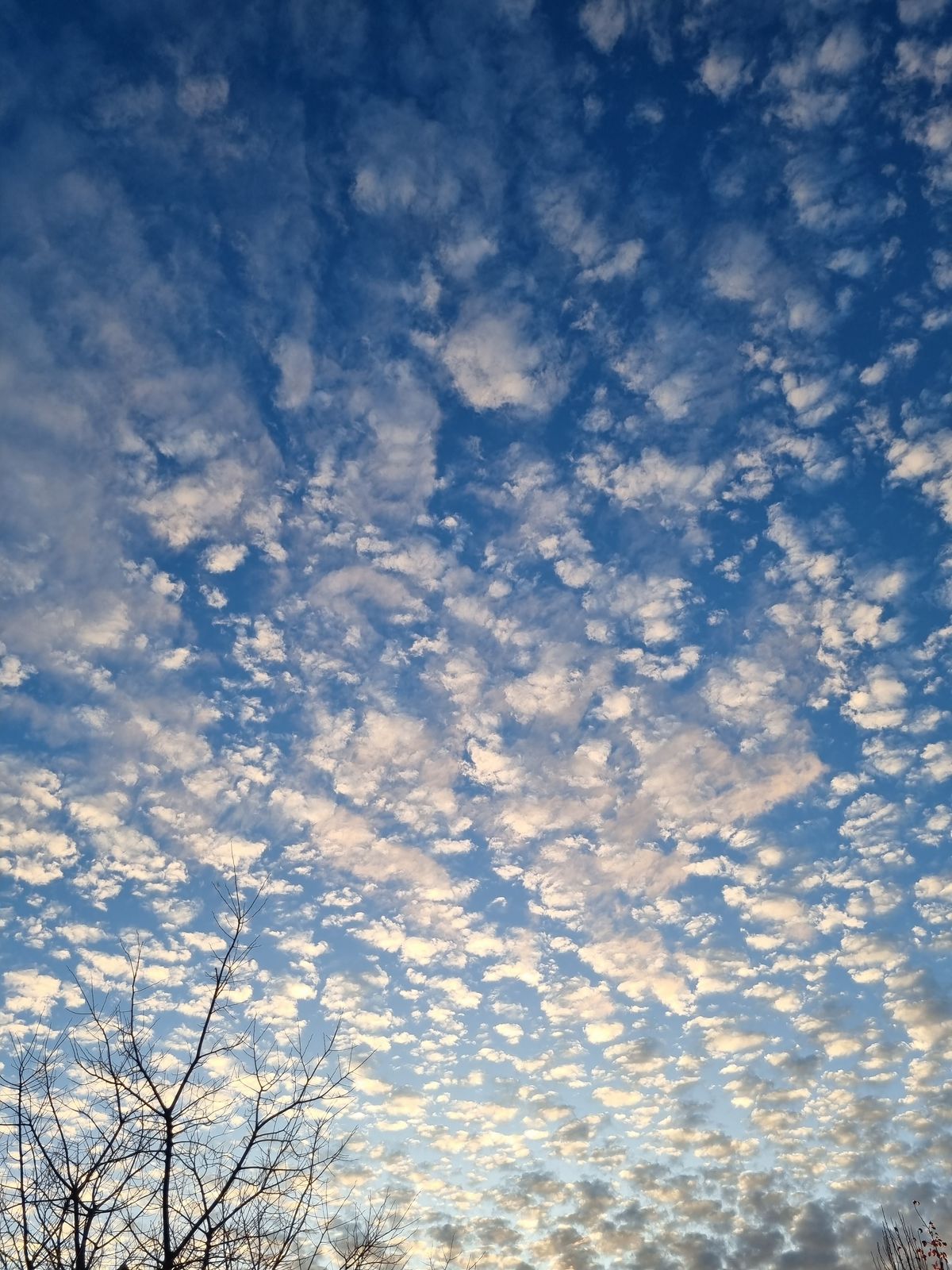 Photograph 019