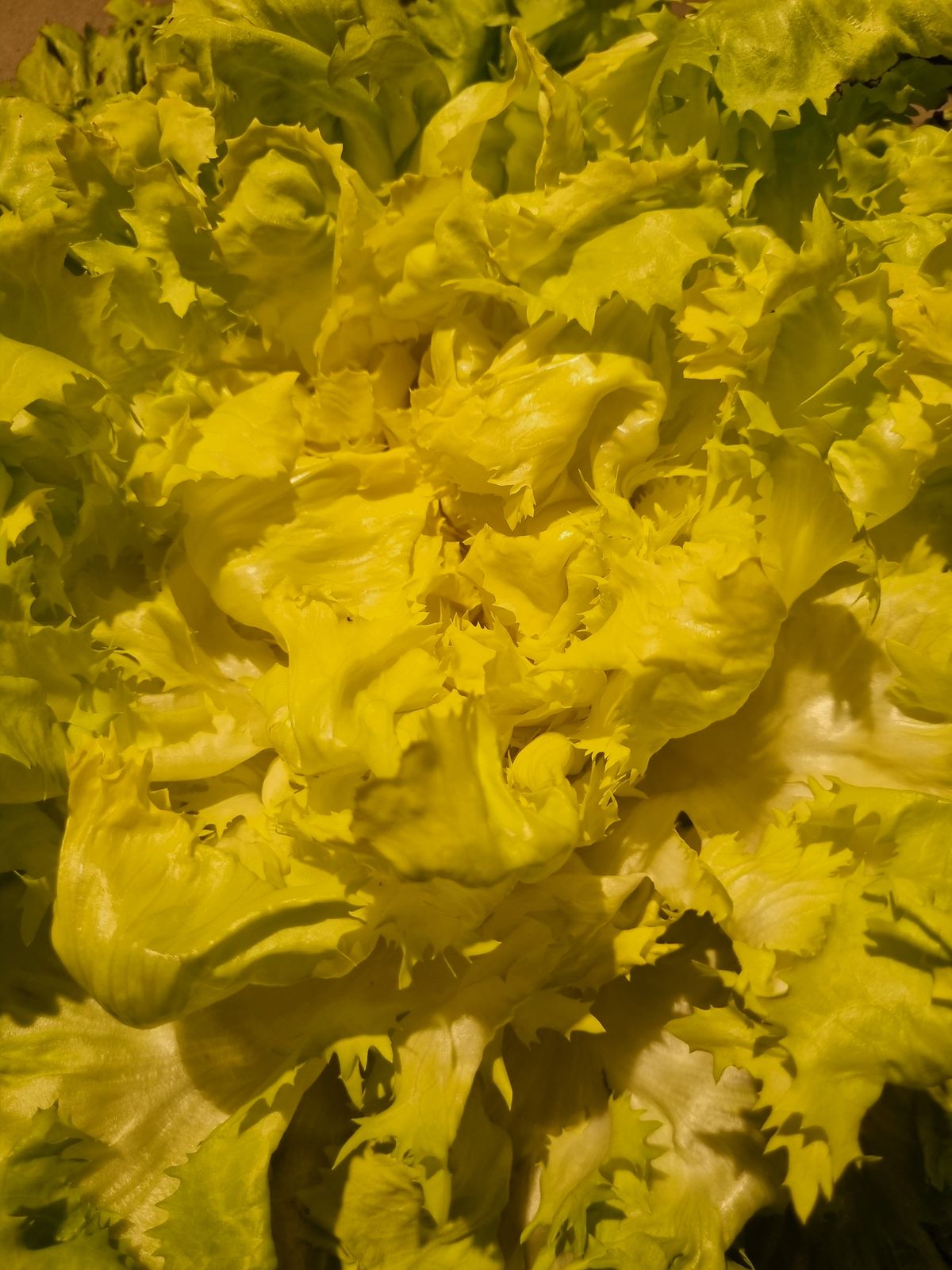Photograph 021